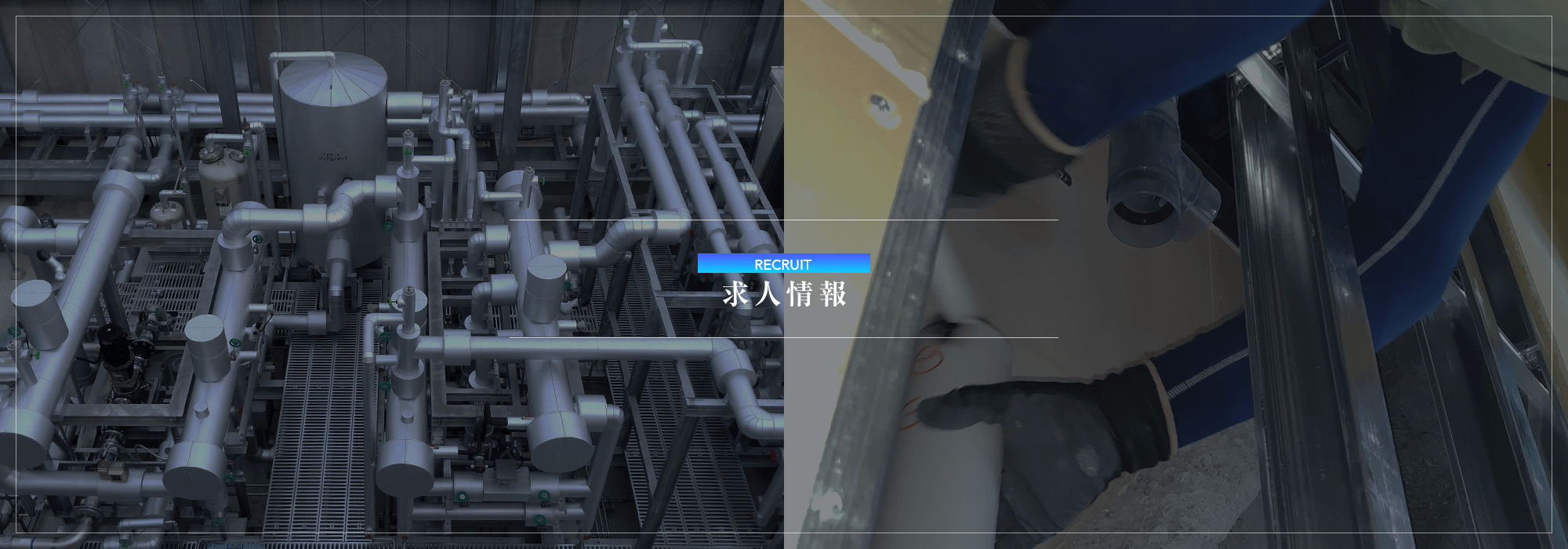 求人情報